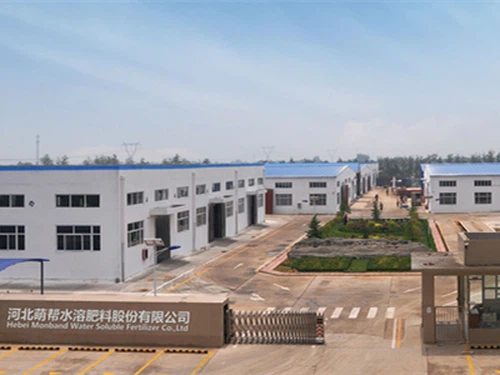 Por qué Hebei Monband es la fábrica china preferida para soluciones premium s...